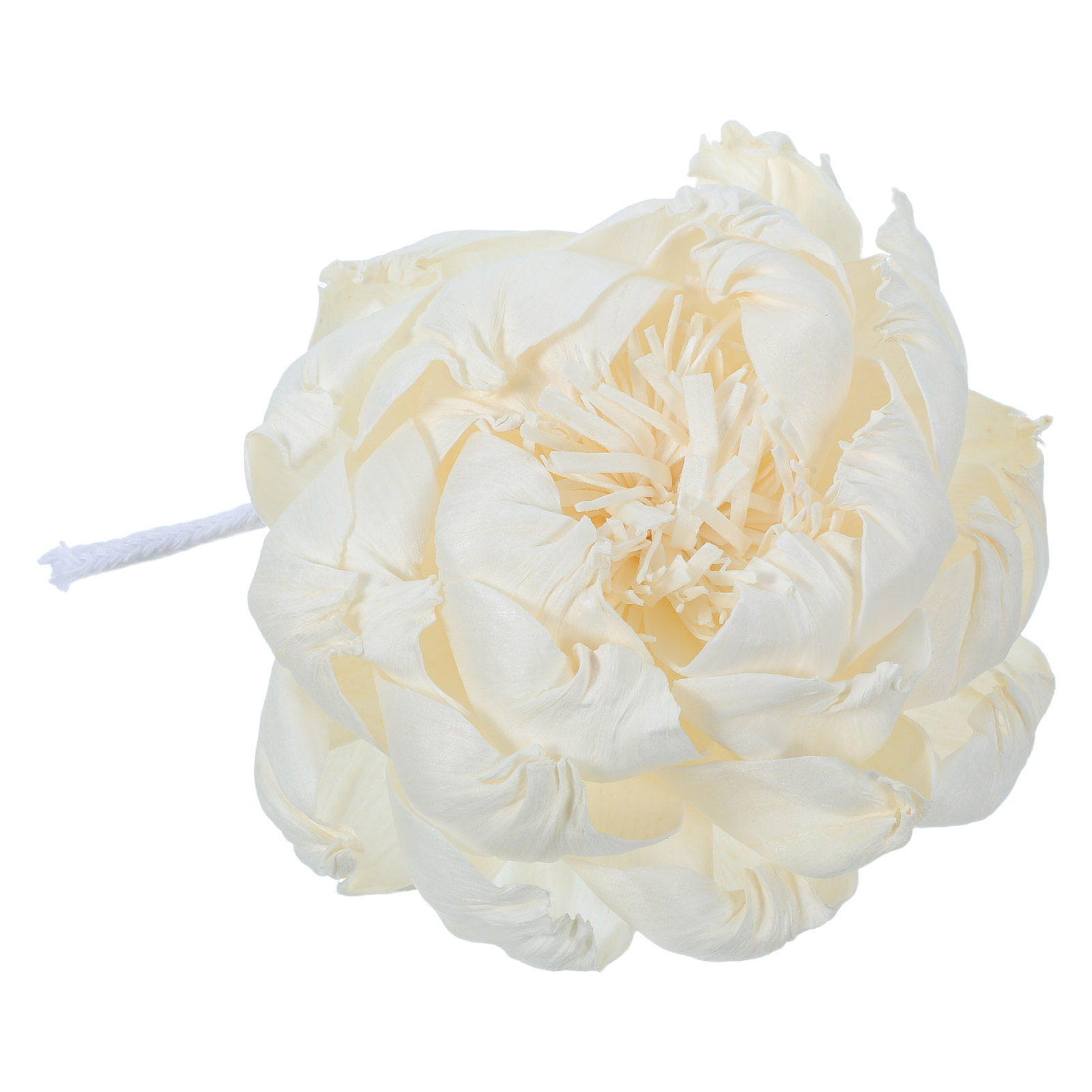 Aroma Diffuser Flower for Home - Home Decor Essentials ulasan dan harga