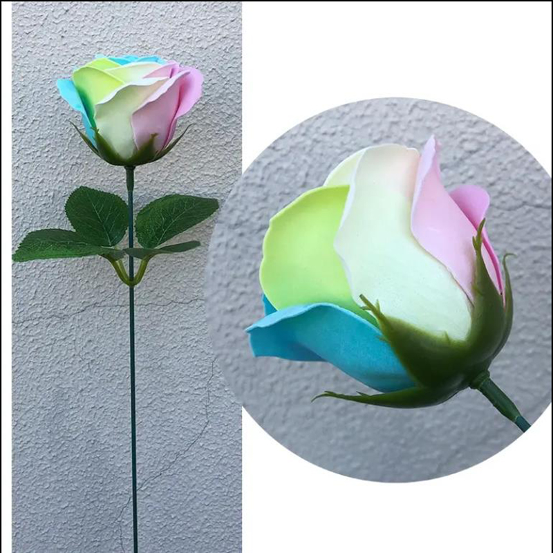 Spilewka 6X7cm Colorful Rose A - Home Decor For Birthday ulasan dan harga